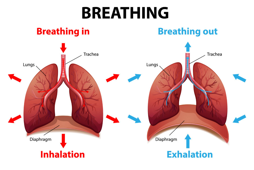 Breathing vs Retractions